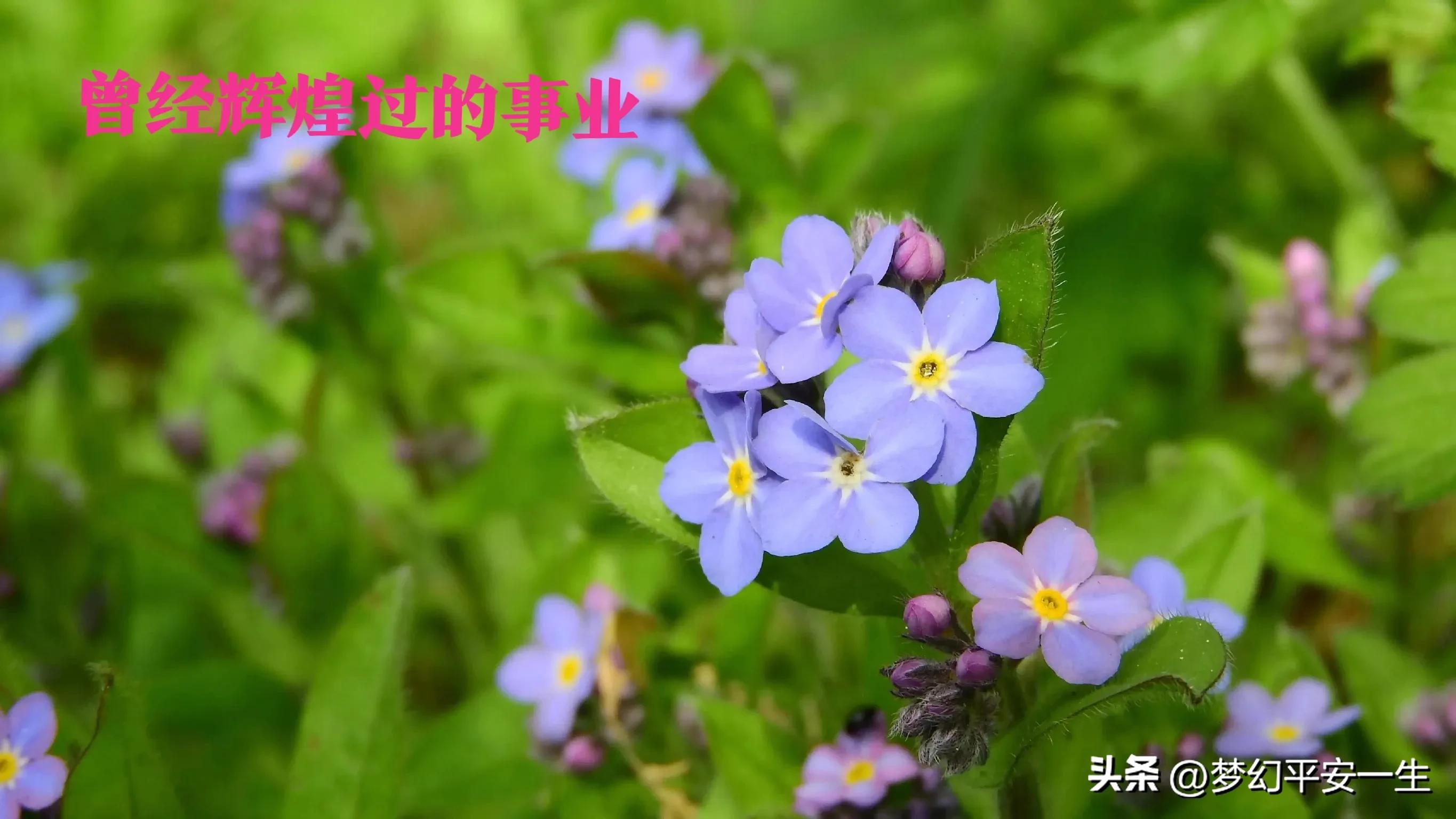 我经历的供销社变迁,我在七零供销社上班