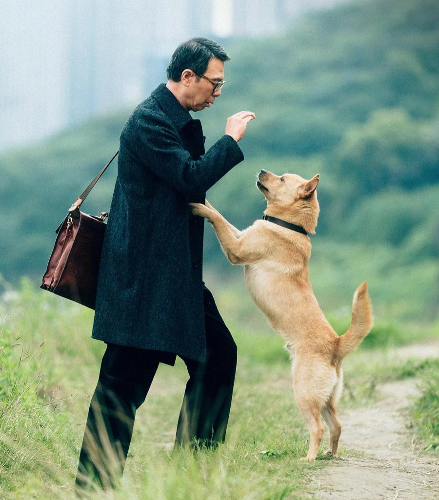 国产翻拍2019 (国内翻拍的电影吐槽)