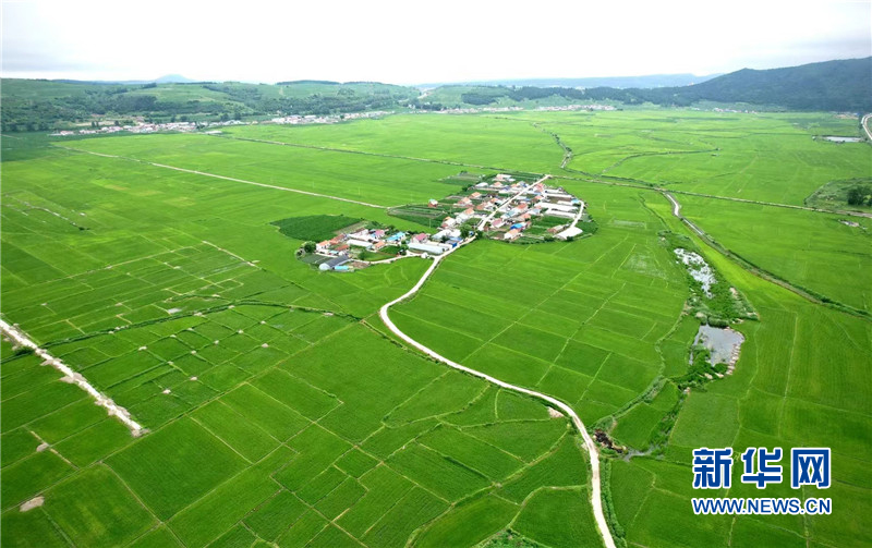 延边最出名的大米延边龙井大米,海兰江畔美景