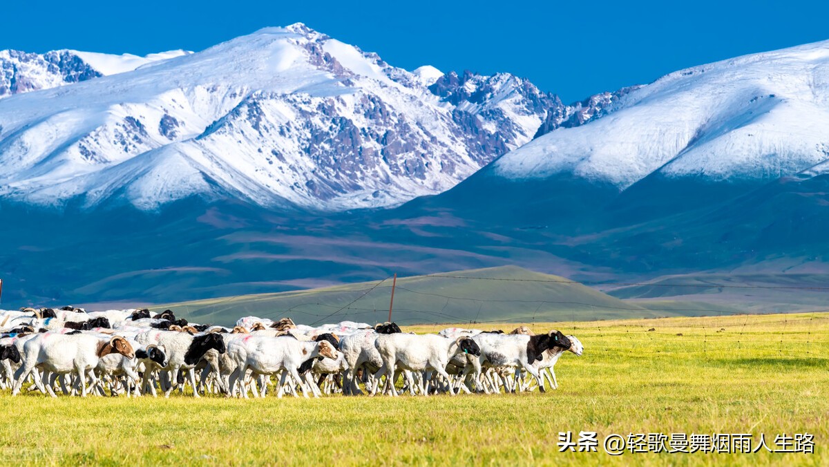 学会三种技能避免40岁后失业,40到50岁女人失业做点什么好