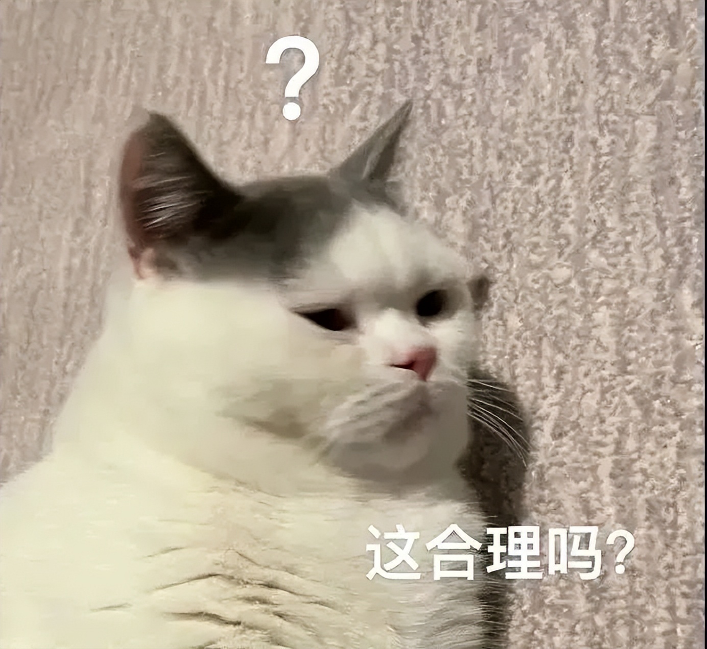 20万开店日营业额仅79元创业失败,20万投资实体店生意惨淡