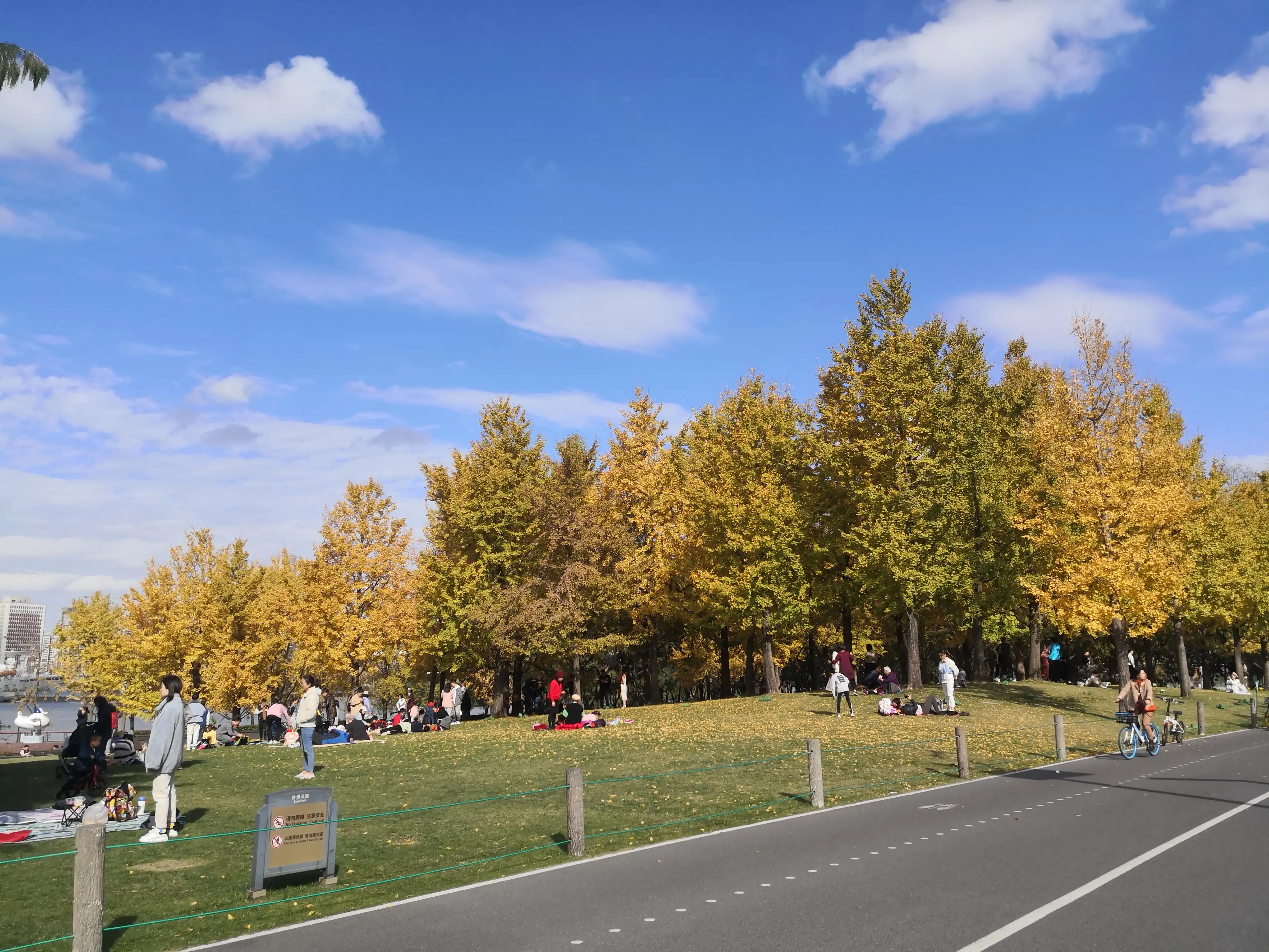 在上海生活工作的好处,上海生活的优缺点