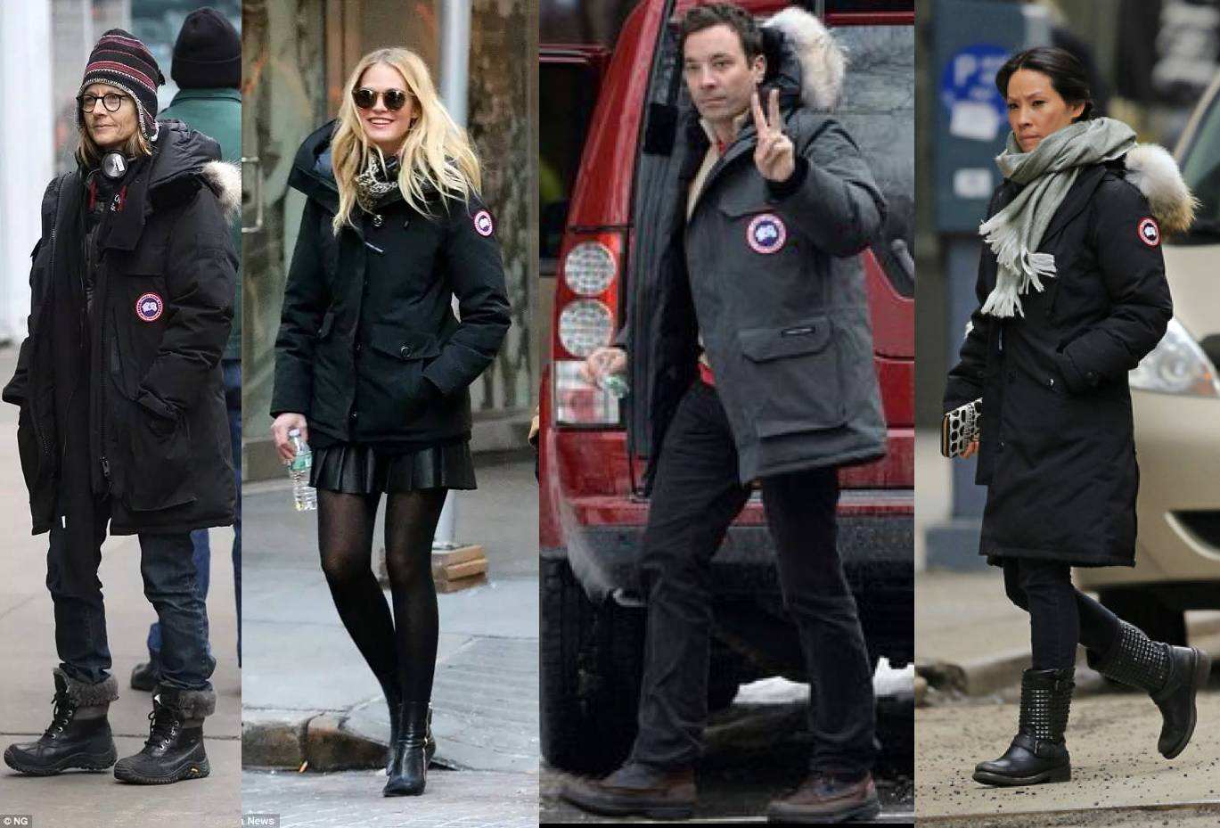 canadagoose和加拿大鹅,canadagoose加拿大鹅价格