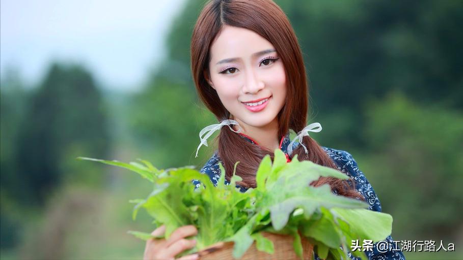 乡村回忆录后续,乡村回忆录视频大全