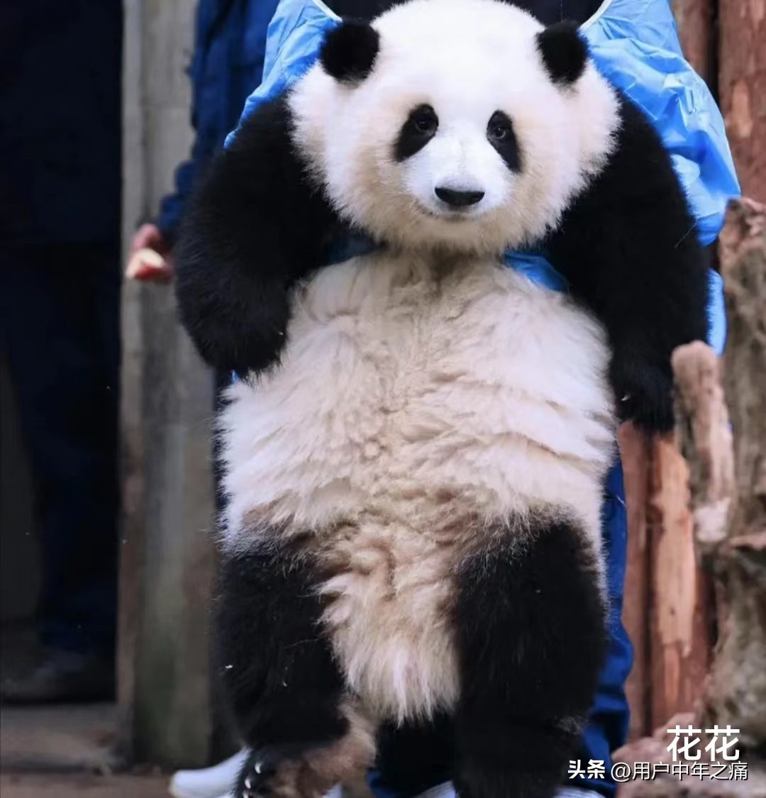 天之骄女是哪一年的,天之骄女重生归来小说