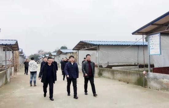 盛大金禧携手芷民丰助推乡村振兴高质量发展