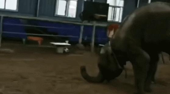 全网最近大事件,最大丑闻案件