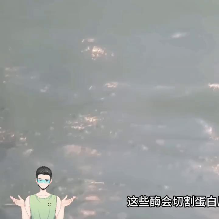 增肌粉与蛋白粉的区别,蛋白粉和增肌粉外观区别是什么