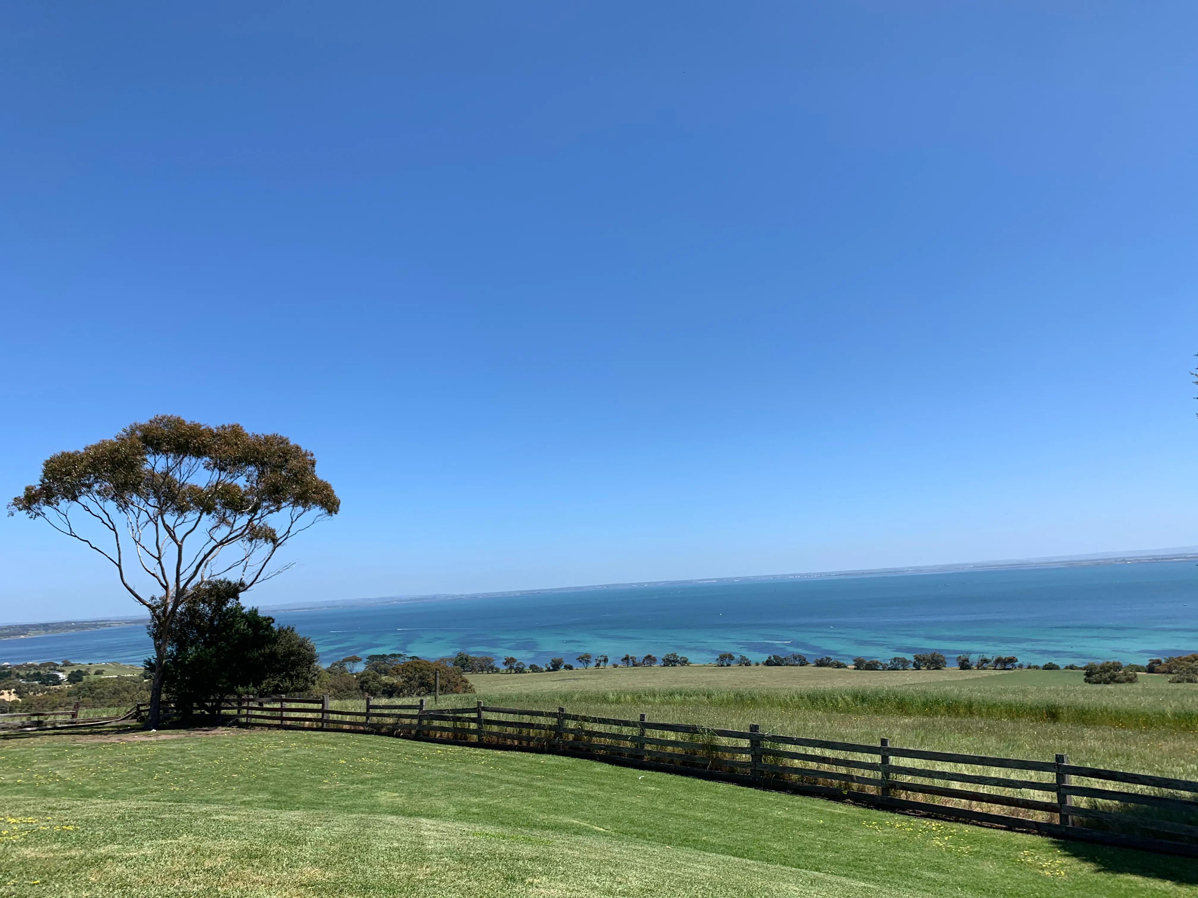 中澳两国的差异,中澳教育的差异引人深思