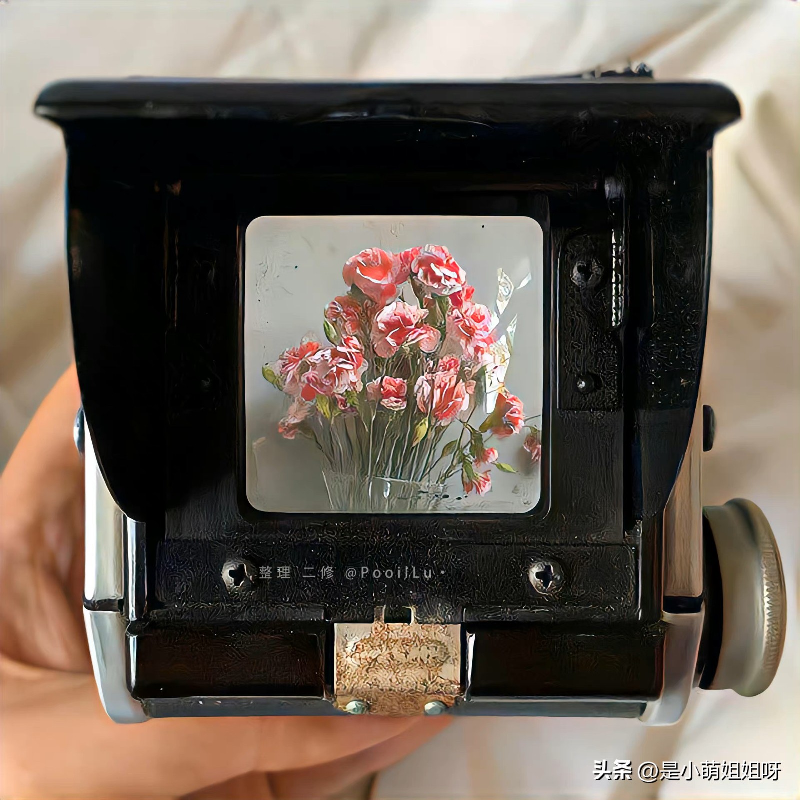 从零开始做自媒体一年赚多少元,一个新手做自媒体怎么赚钱