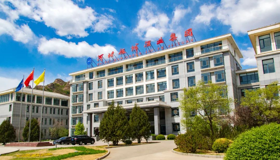 大坝足球比赛,大坝镇足球比赛