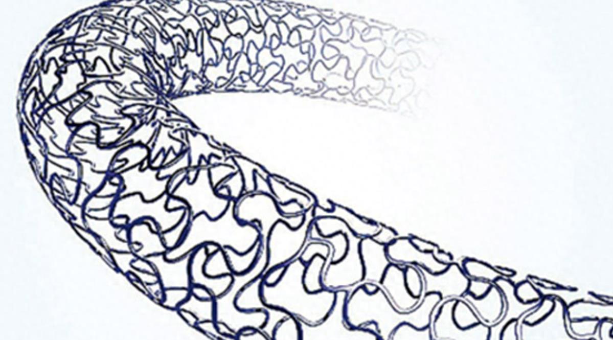 使用近红外荧光成像，进行生物功能性可降解支架的无创监测工程