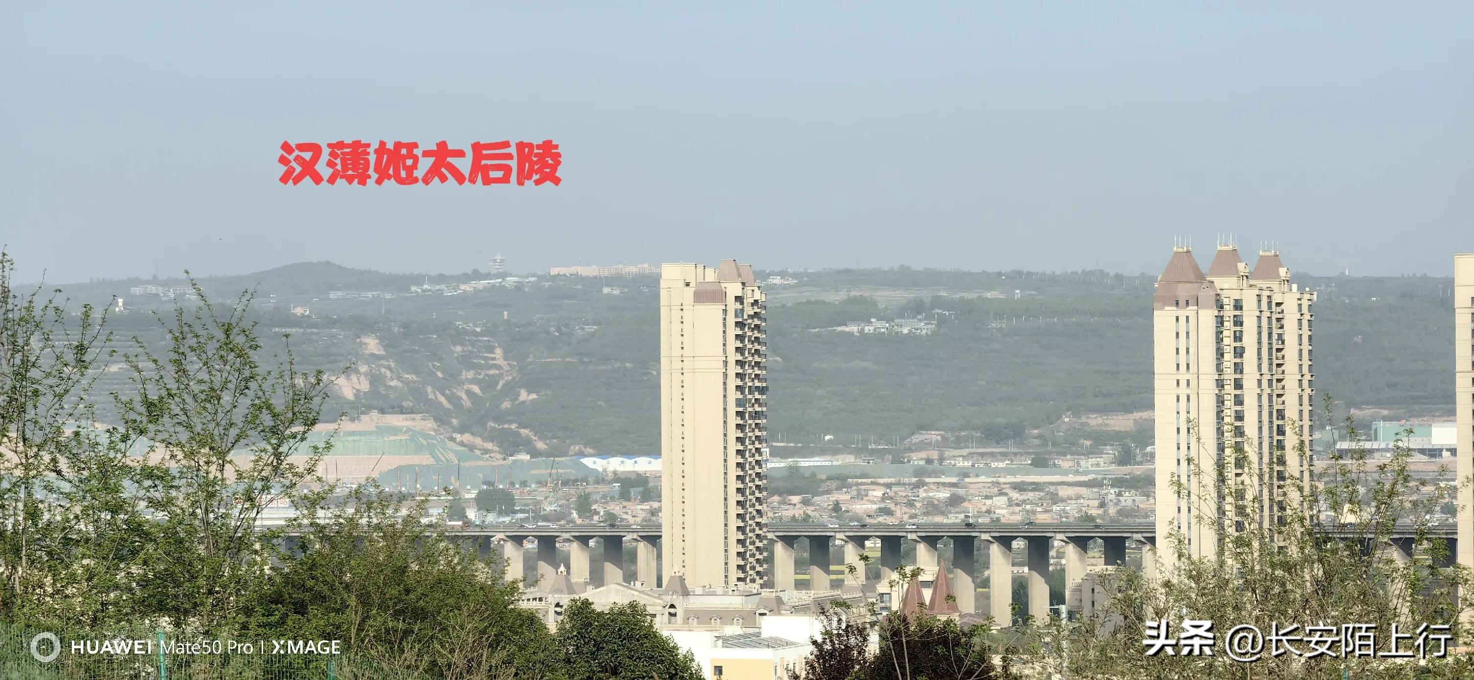 西安植物园新区在哪里,西安新植物园开放了吗