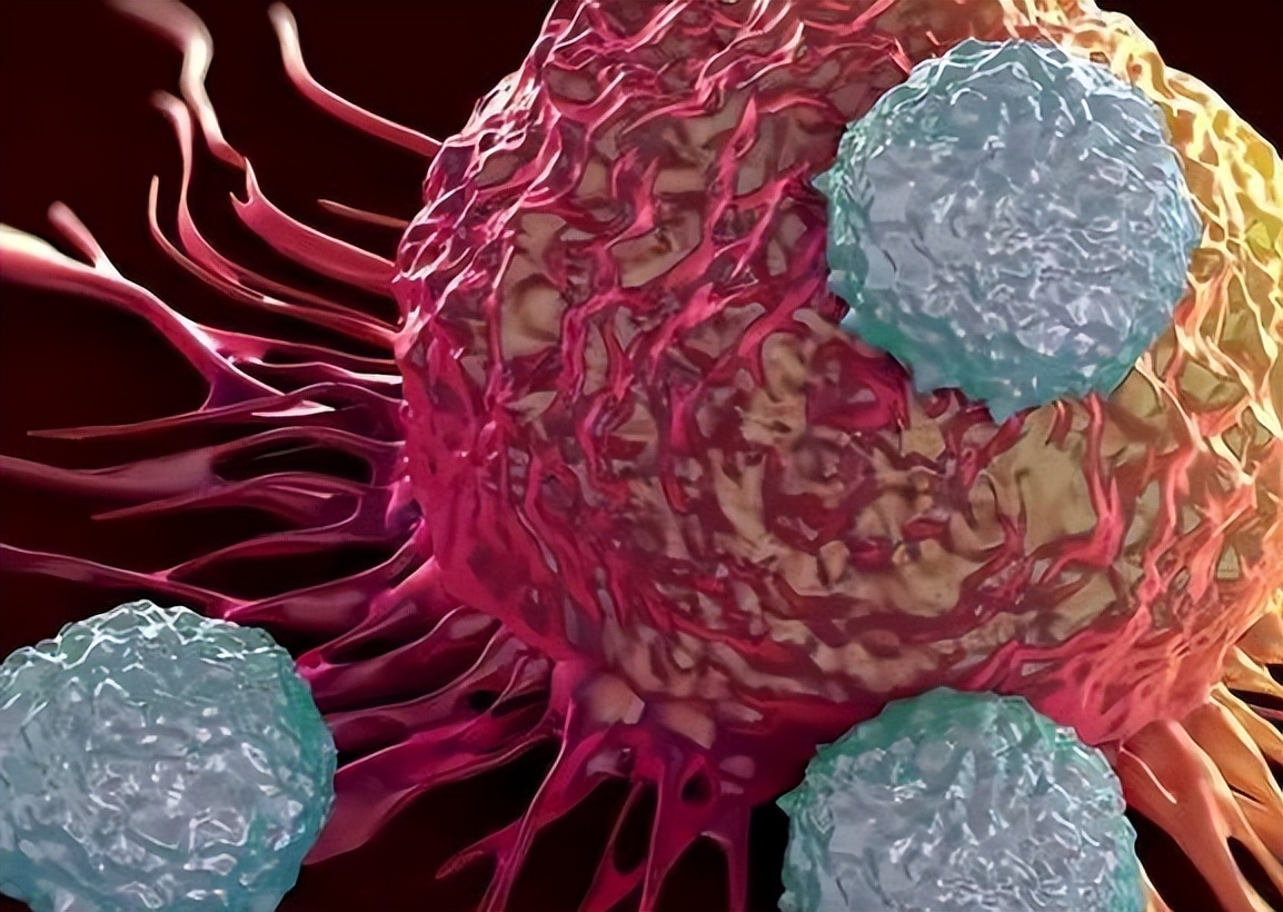 鹅肉竟然是癌细胞的助燃剂,鹅肉和啥肉不长癌细胞