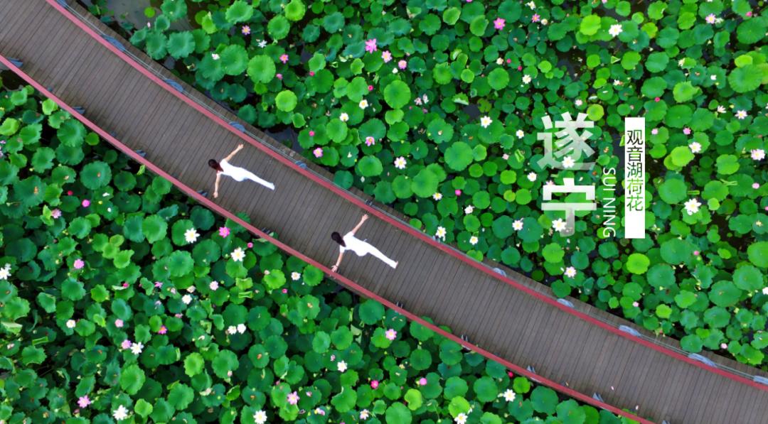 安逸四川冬游天府旅游季优惠频出,四川遂宁市文旅活动