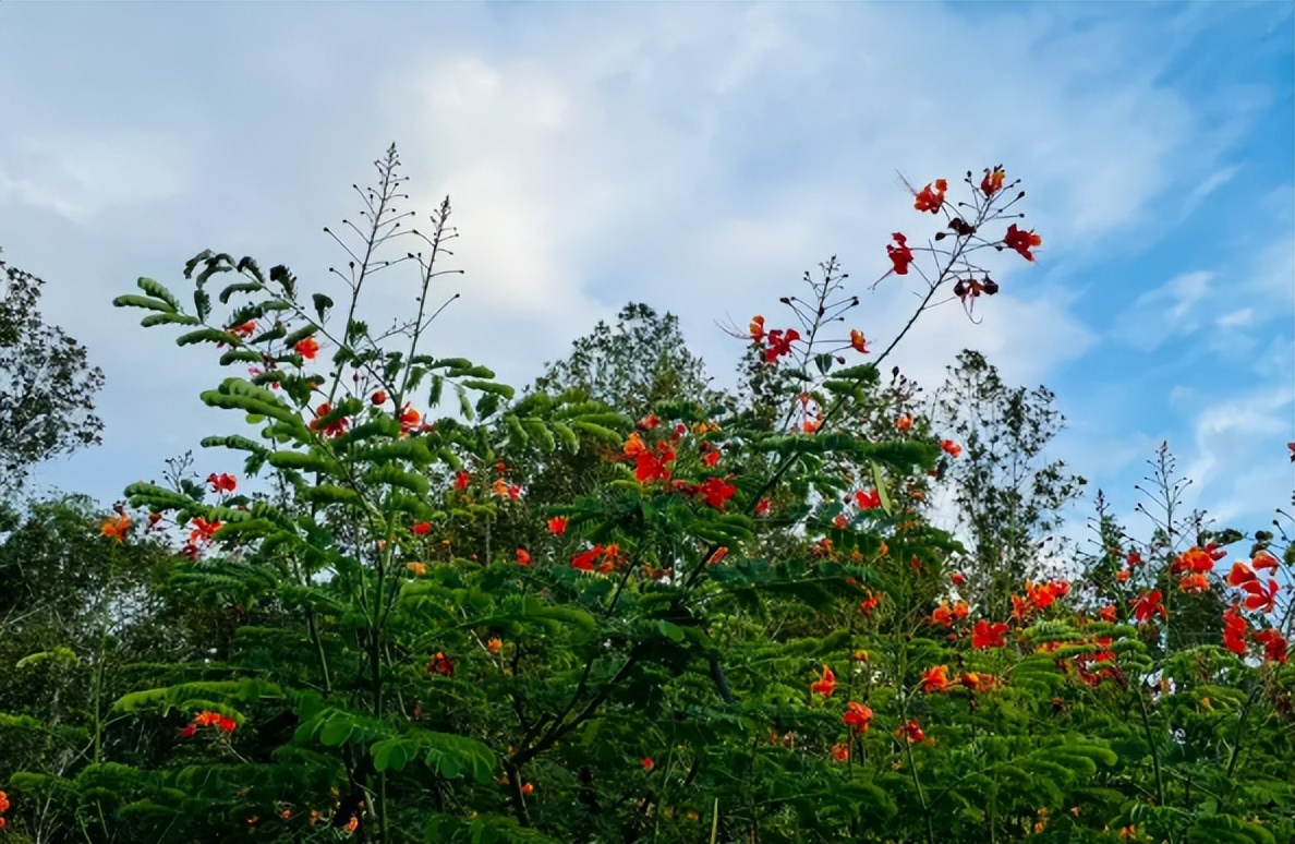 命里出现这四种说明老天爷在渡你,老天要渡你命里会有三种迹象