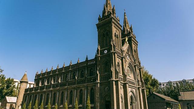 沈阳野生动物园带点啥东西喂动物,沈阳动物园冬季有哪些动物