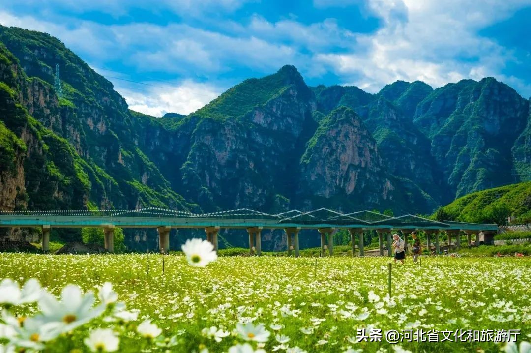 爱丽丝梦游仙境景区,爱丽丝梦游仙境青岛实景