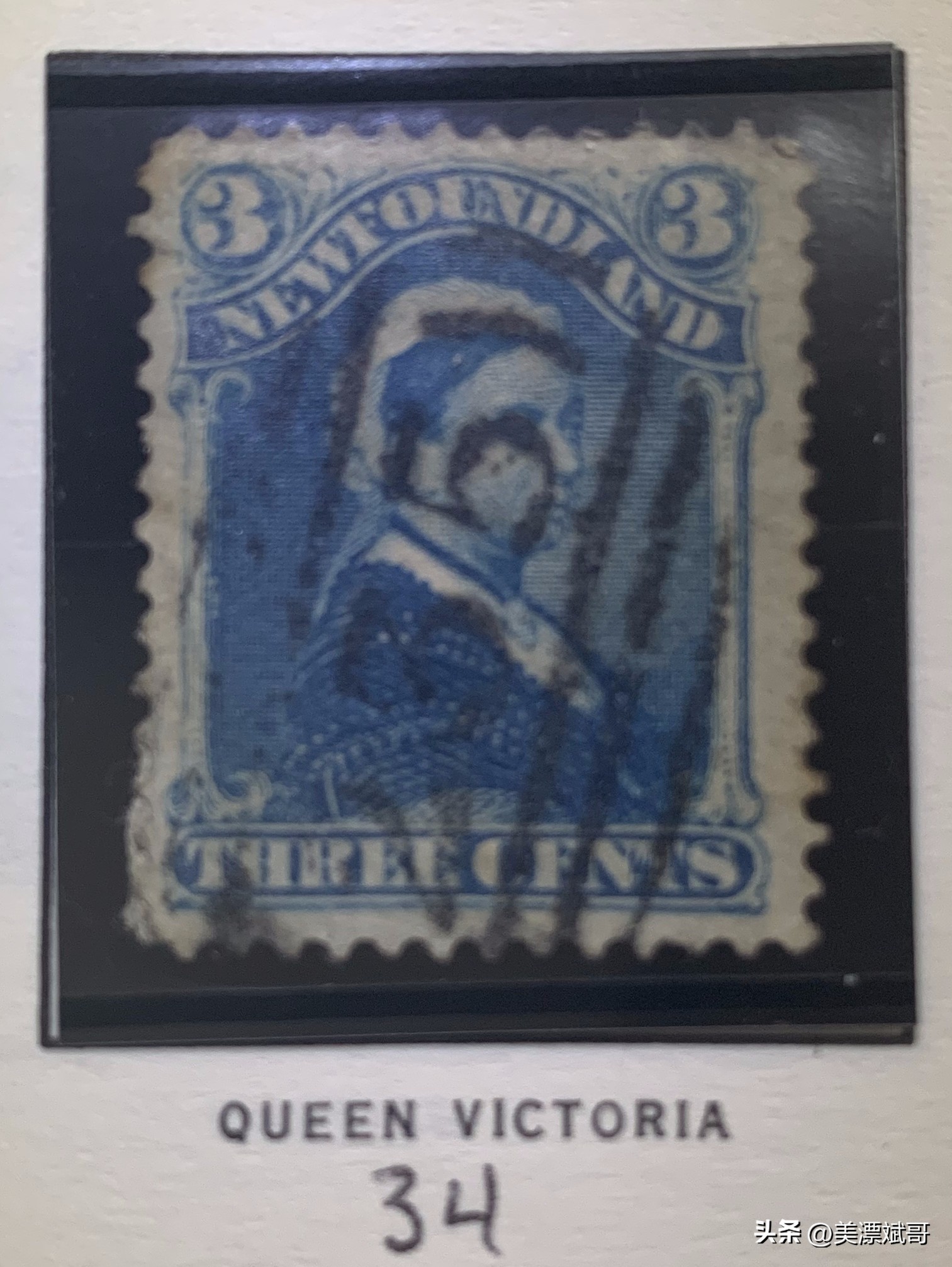 纽芬兰简介,纽芬兰历史