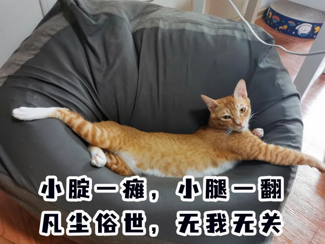 2019年广州放假安排时间表,今天广州放假通知