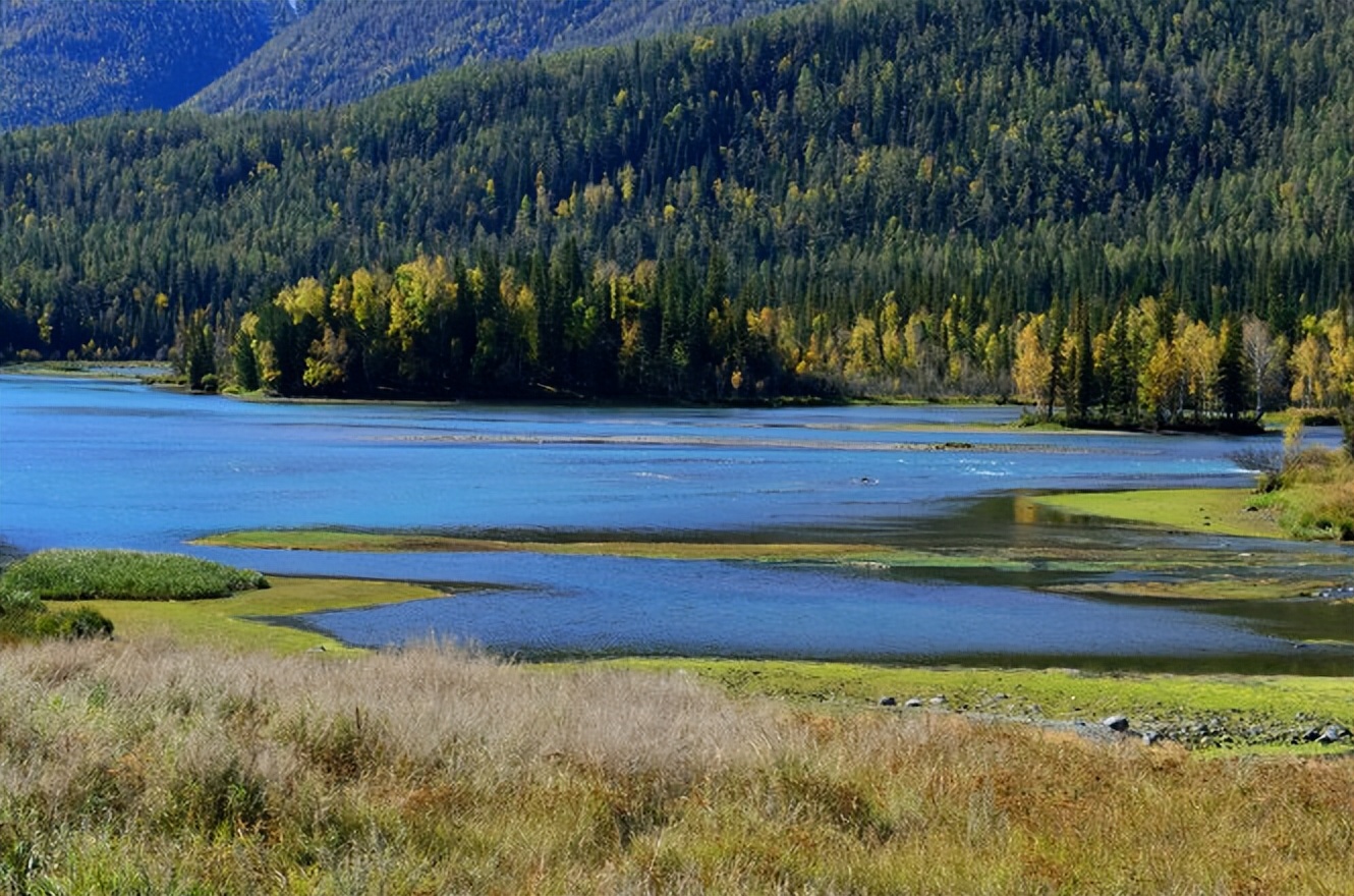 如果一场恋爱，美丽得要用生命作为代价，我宁愿它从来没有发生过