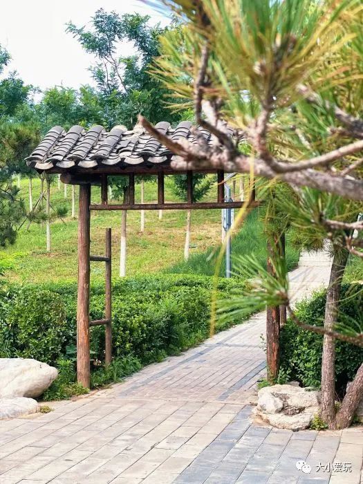 北京花海休闲公园,帝都游乐场