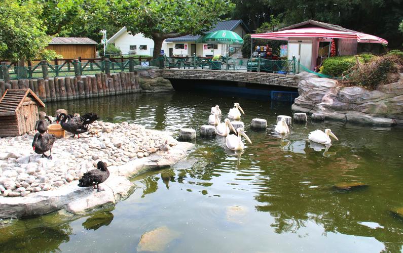 最新大连老虎滩旅游攻略,大连旅游攻略大连老虎滩海洋公园