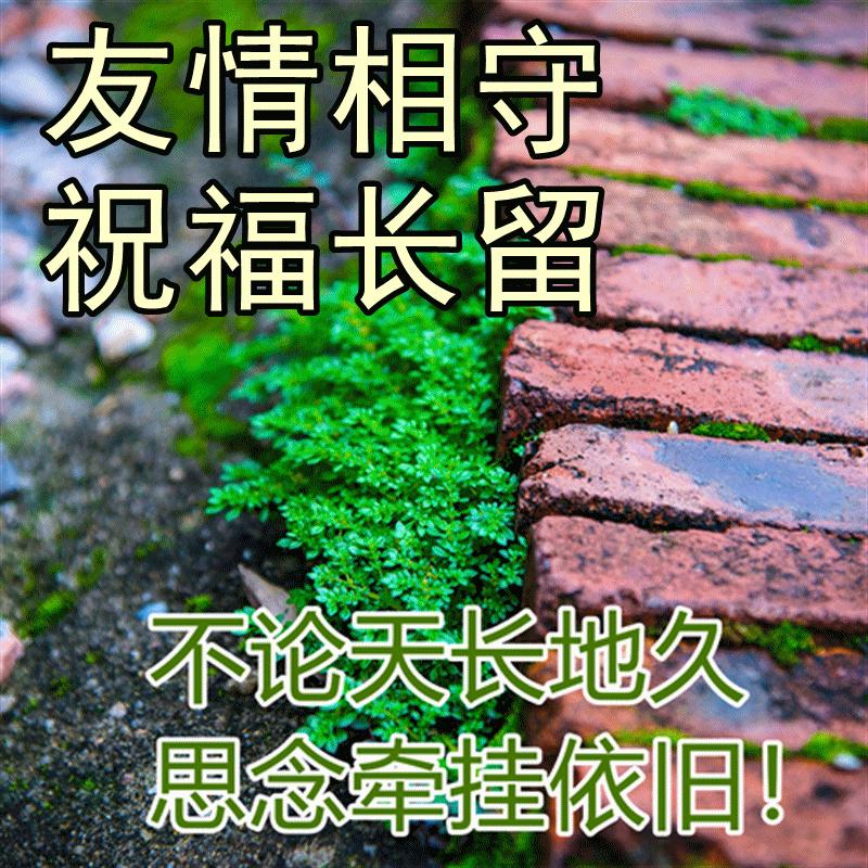 精美早上好动态表情包图片大全,最新早上好表情包动态图片大全