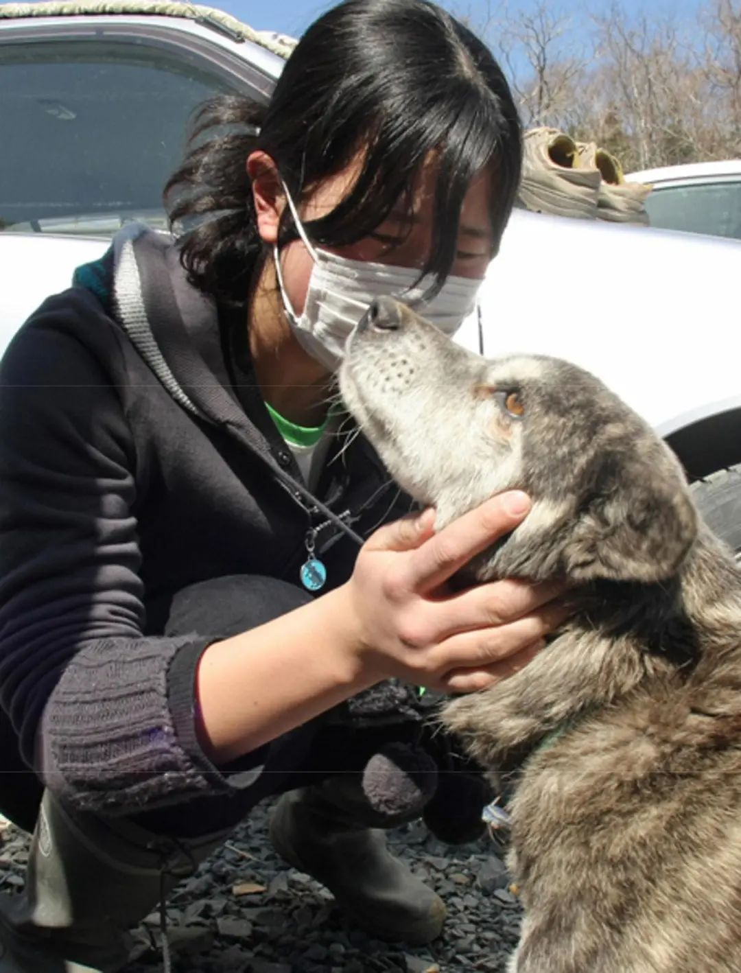 日本311大地震中文纪录片,日本3.11大地震真实影像