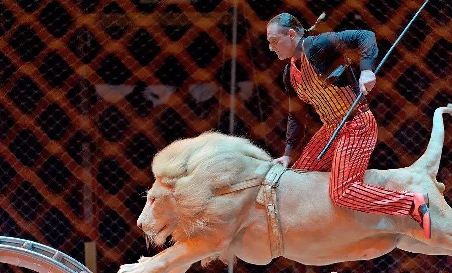 俄罗斯国粹国家大马戏,俄罗斯国粹芭蕾舞