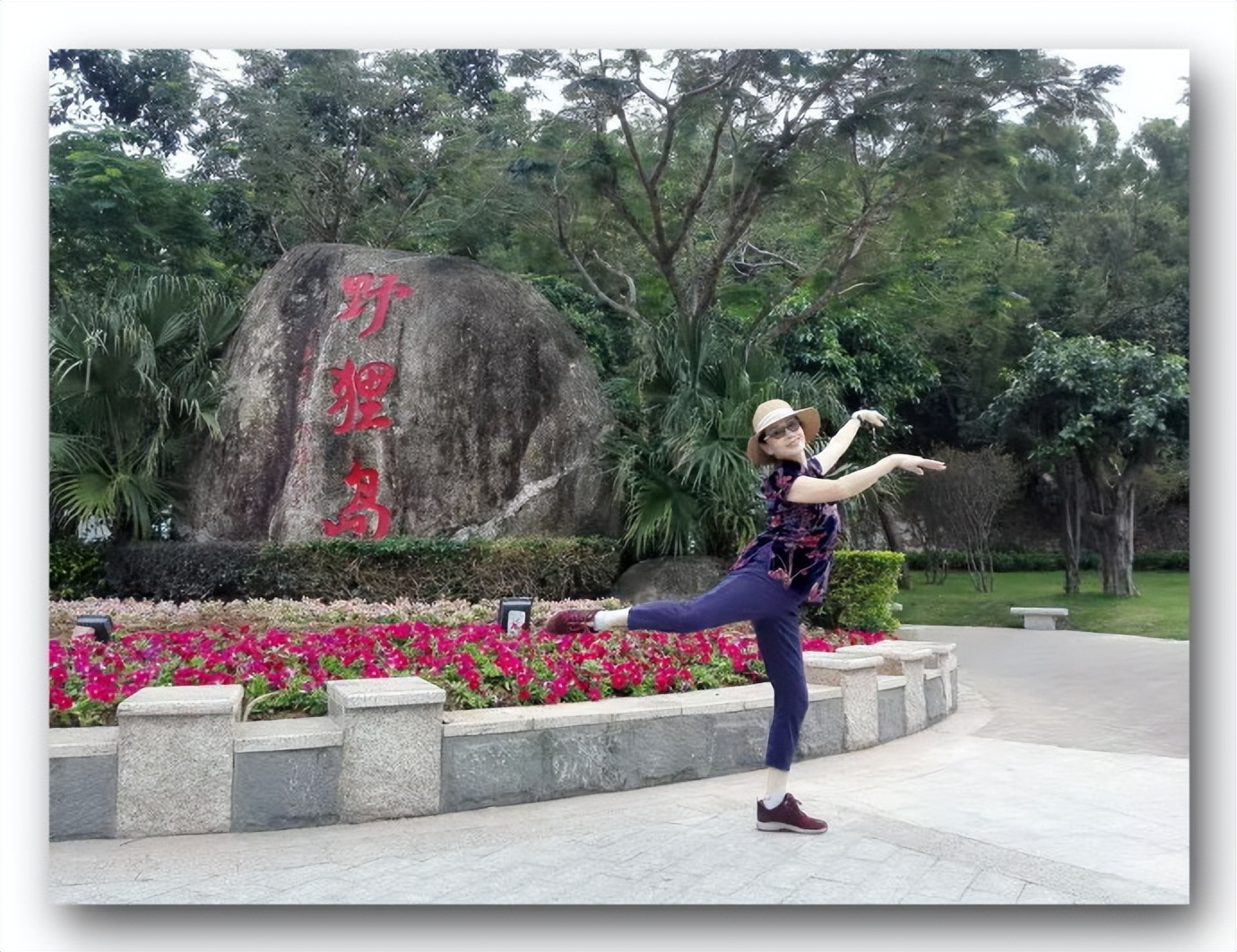珠海野狸岛最新消息,珠海野狸岛