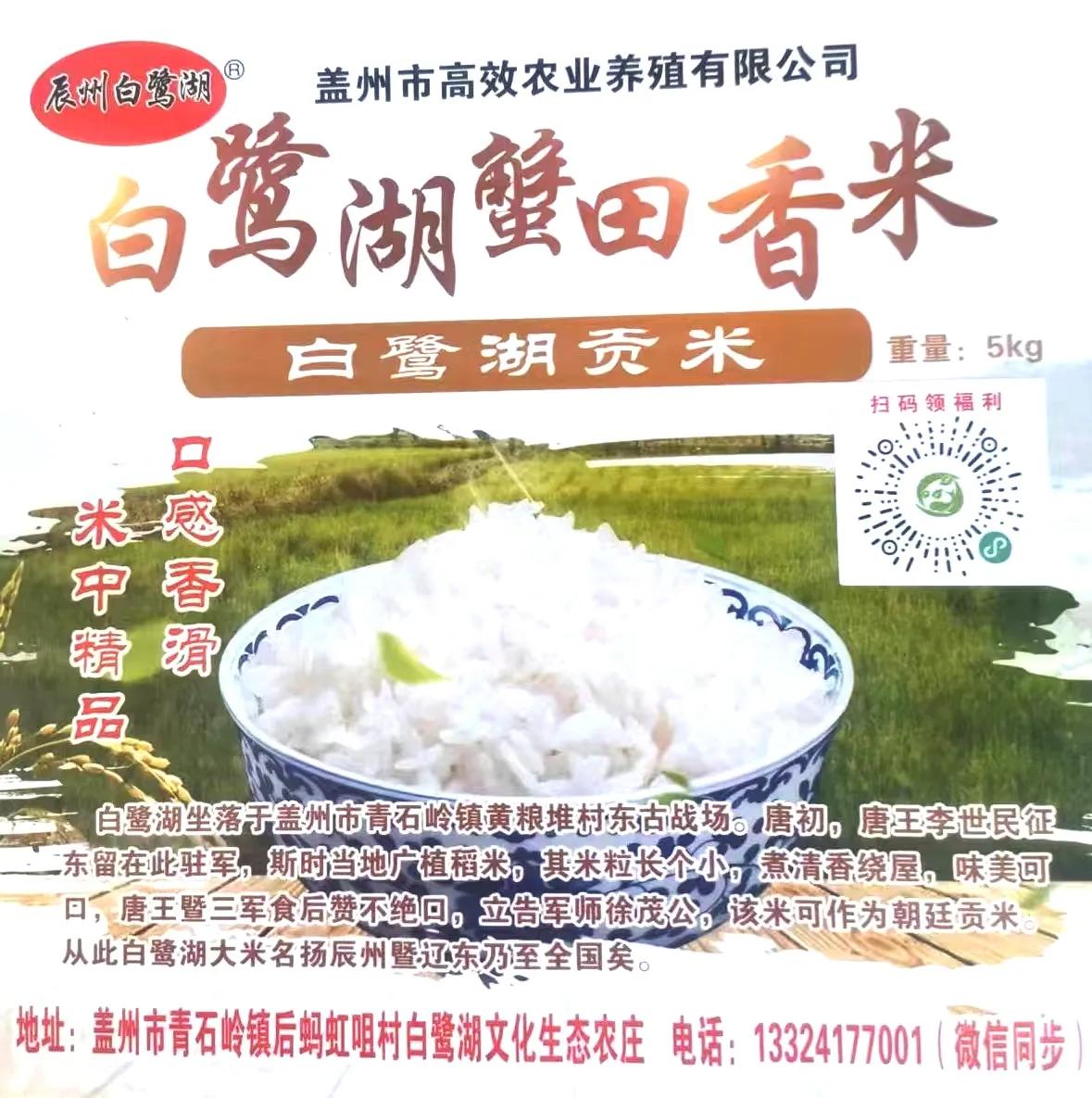 宝清县青原镇志愿服务刷新村居“颜值”