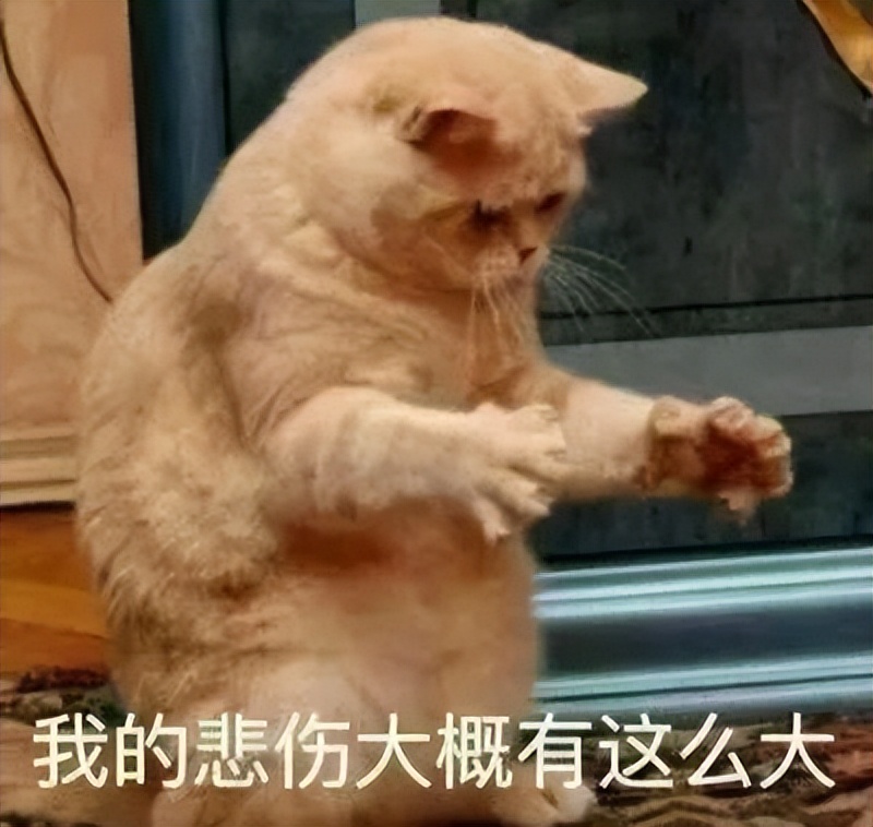 留学生说话夹杂English，会显得International一点？