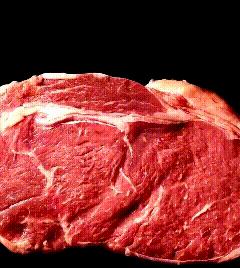 手指在显微镜下太恐怖了,显微镜下的恐怖世界蝎子