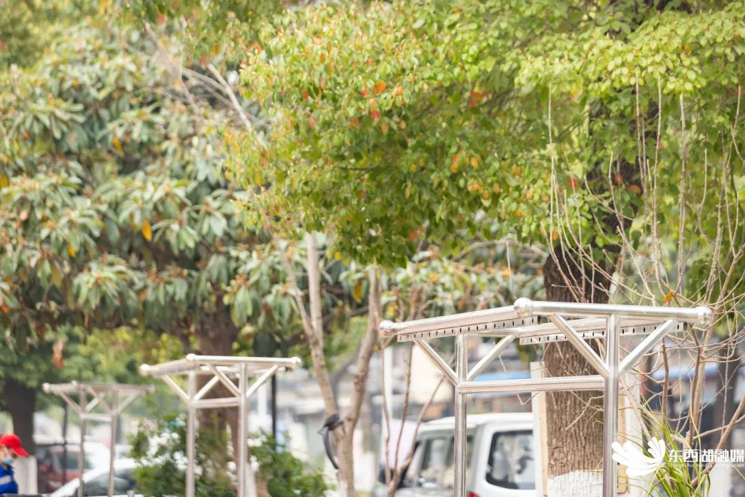 调查问卷发放情况报告,调查问卷100份