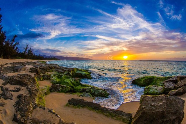 6月6日黄历宜忌查询,6月9日每日宜忌黄历