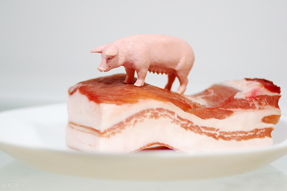 生猪期货如何计算每斤价格,生猪期货和猪肉价格关系