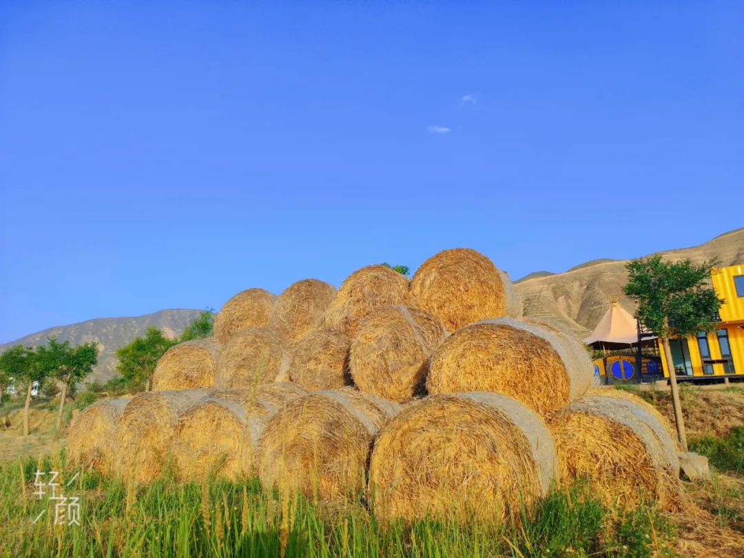 永靖盐锅峡小茨村规划,甘肃永靖盐锅峡小茨村木栈道