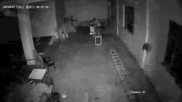 平安护航夏日行动,平安守护夜间巡逻在行动