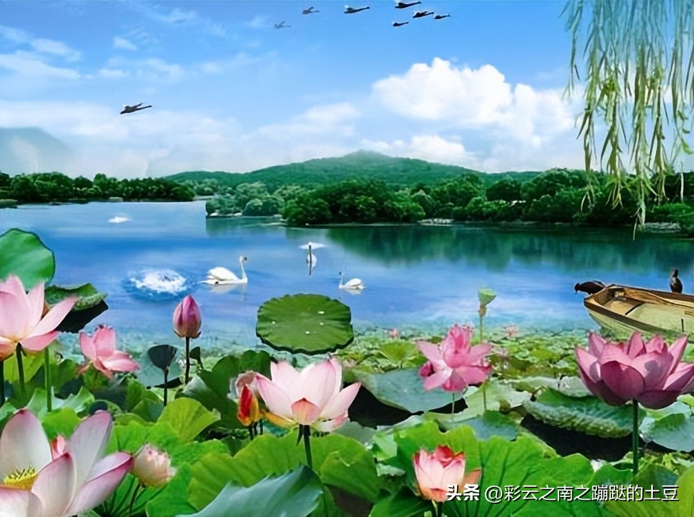 如何破除嗔心,怎么减少心中的恨意