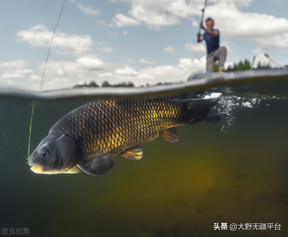 小说钓鱼执法完整版,小说钓鱼系统