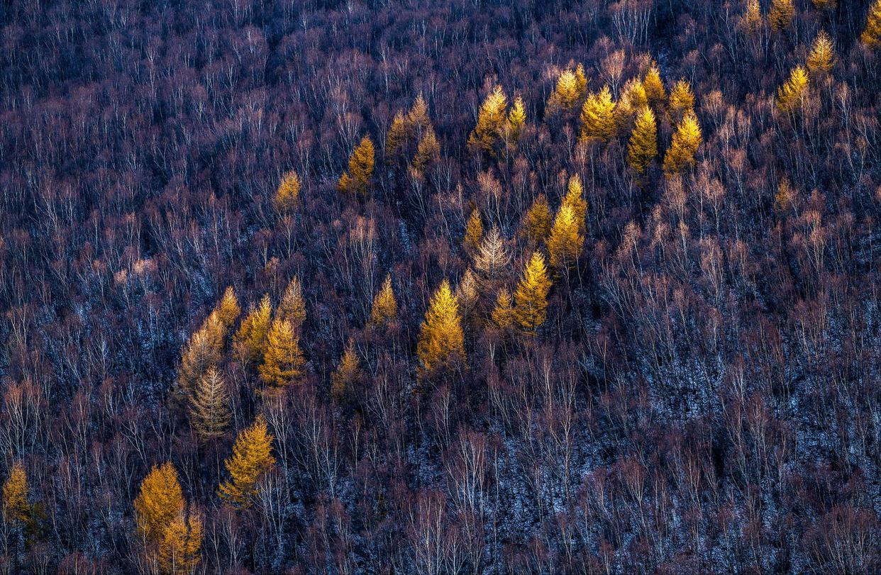 斑驳秋光影，晚来更深情