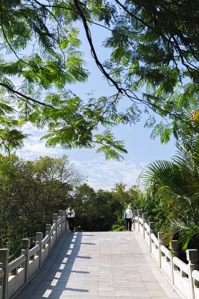 深圳这些新开的公园太美了,深圳淘金山湖景花园