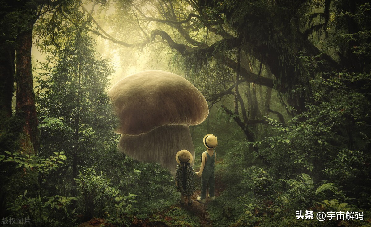 土星对宇宙的影响,宇宙中土星的最终秘密是什么