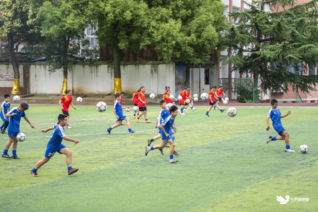 东西湖学校好不好,东西湖区比较好学校