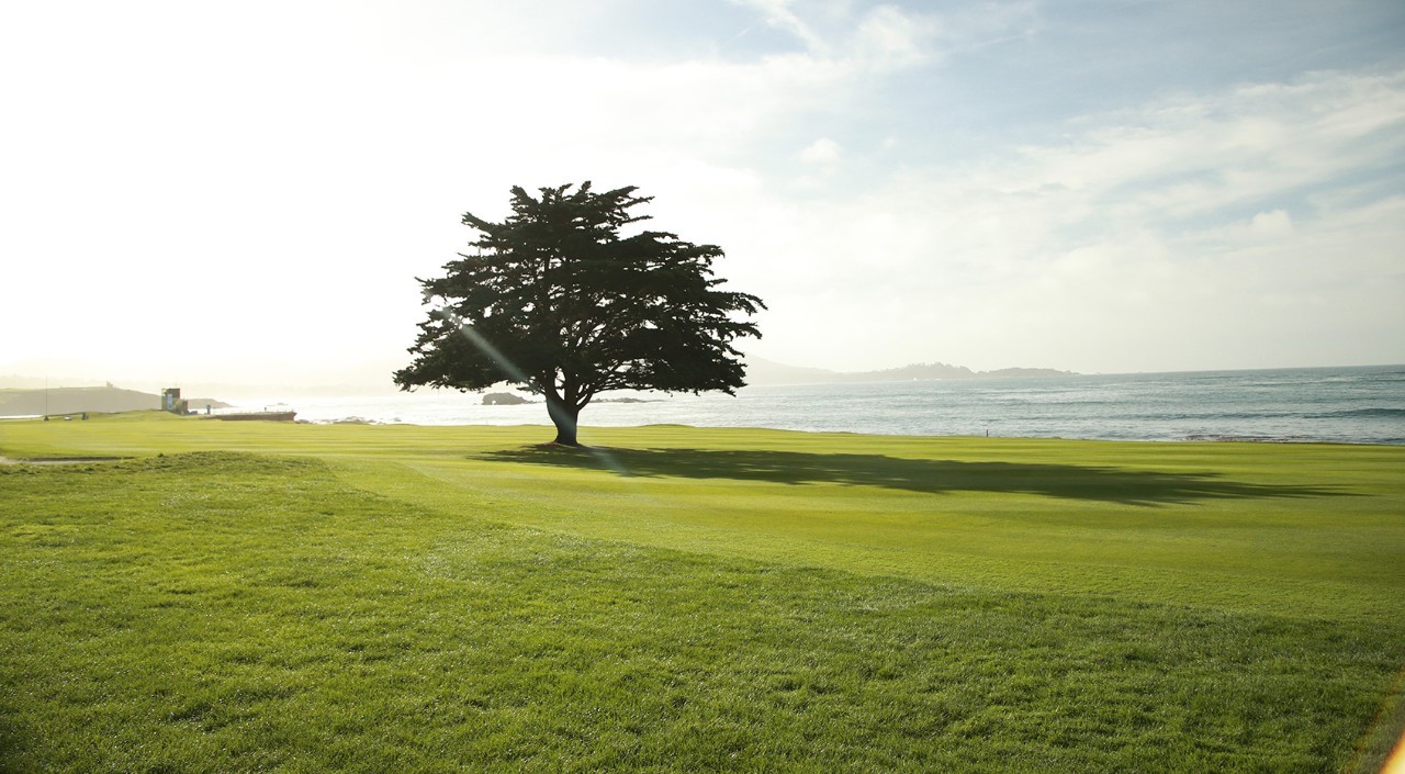 林克斯高尔夫集锦,高尔夫林克斯球场的特点