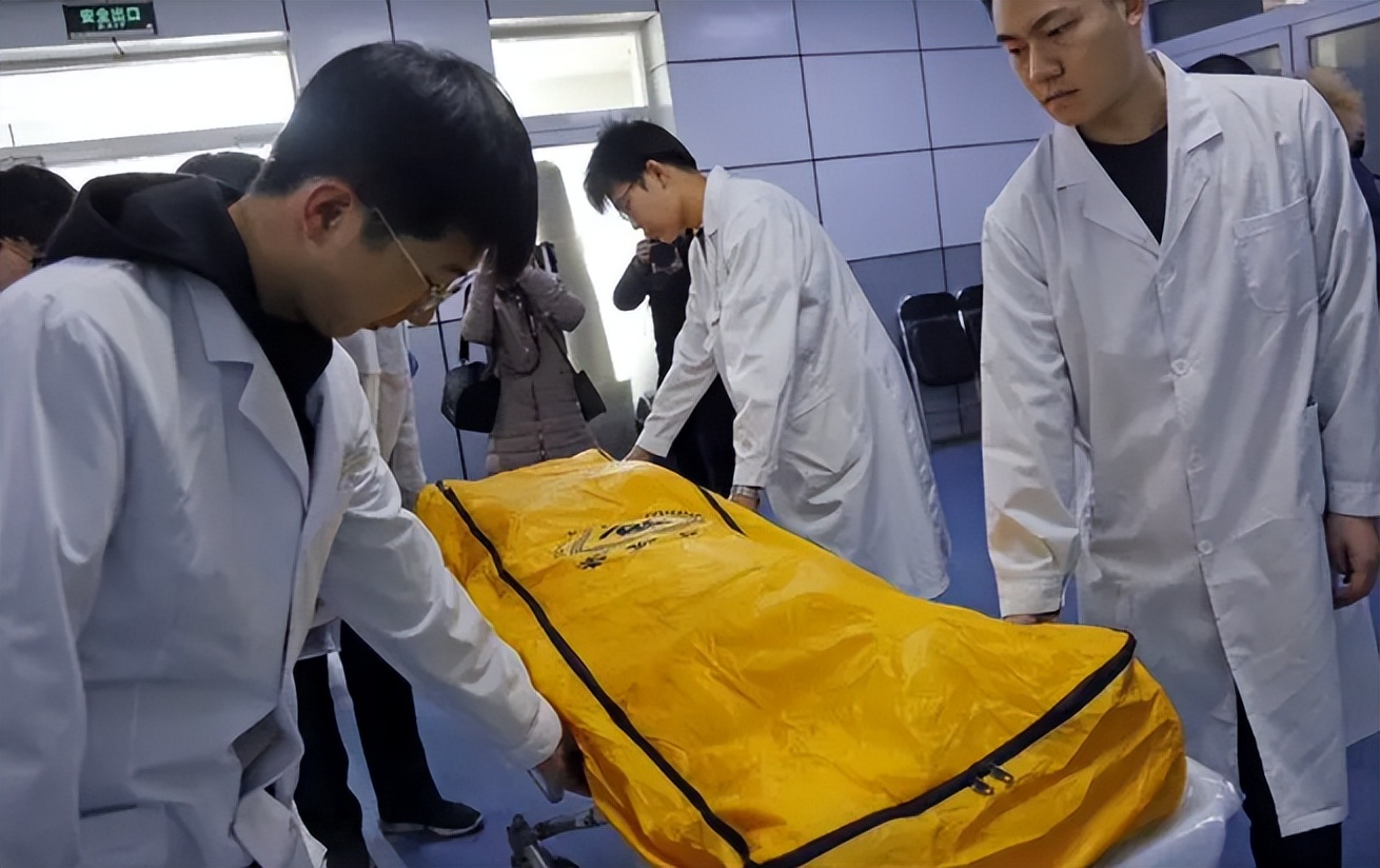 人体遗体捐献做标本有没有补偿,标本制作师工作