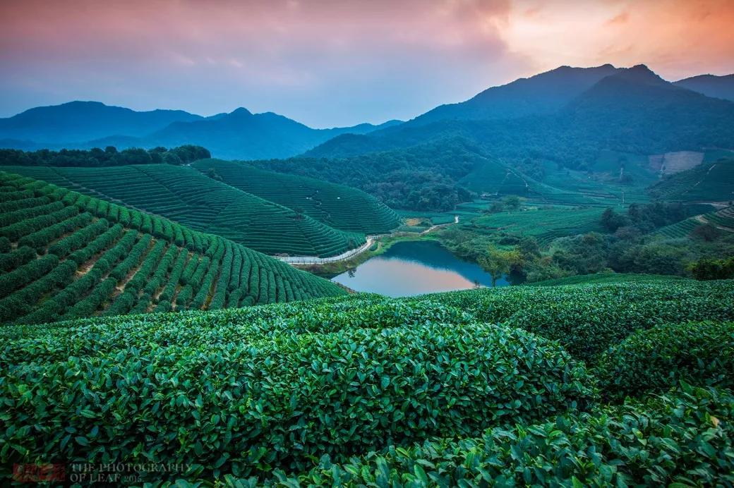 杭州西湖微信头像图片,杭州风景图片头像