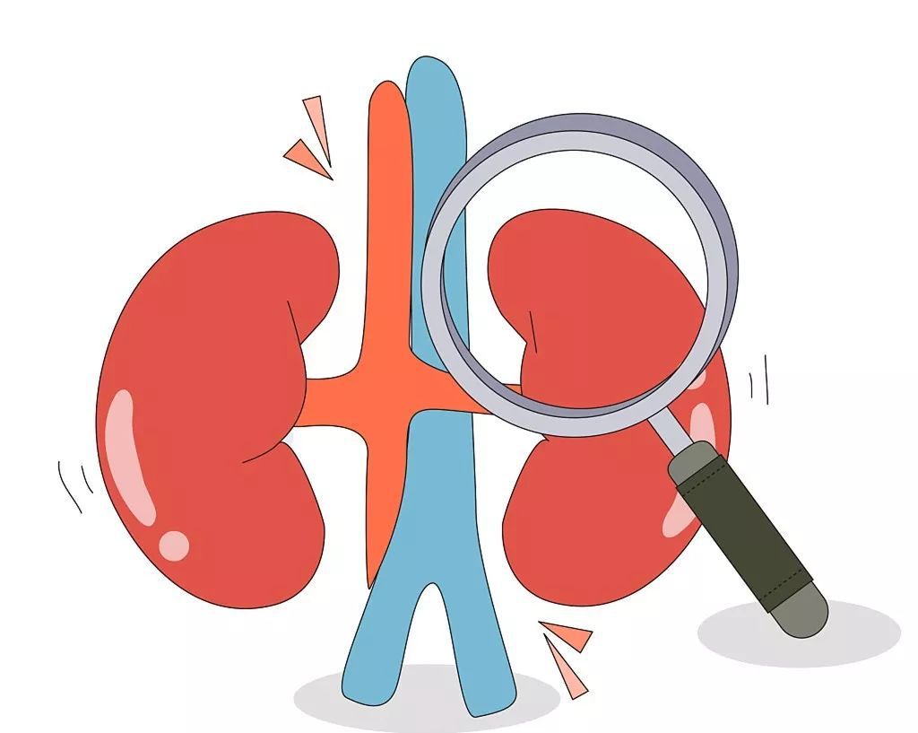 卖肾苹果手机少年怎么样了,10年前卖肾少年卖苹果手机