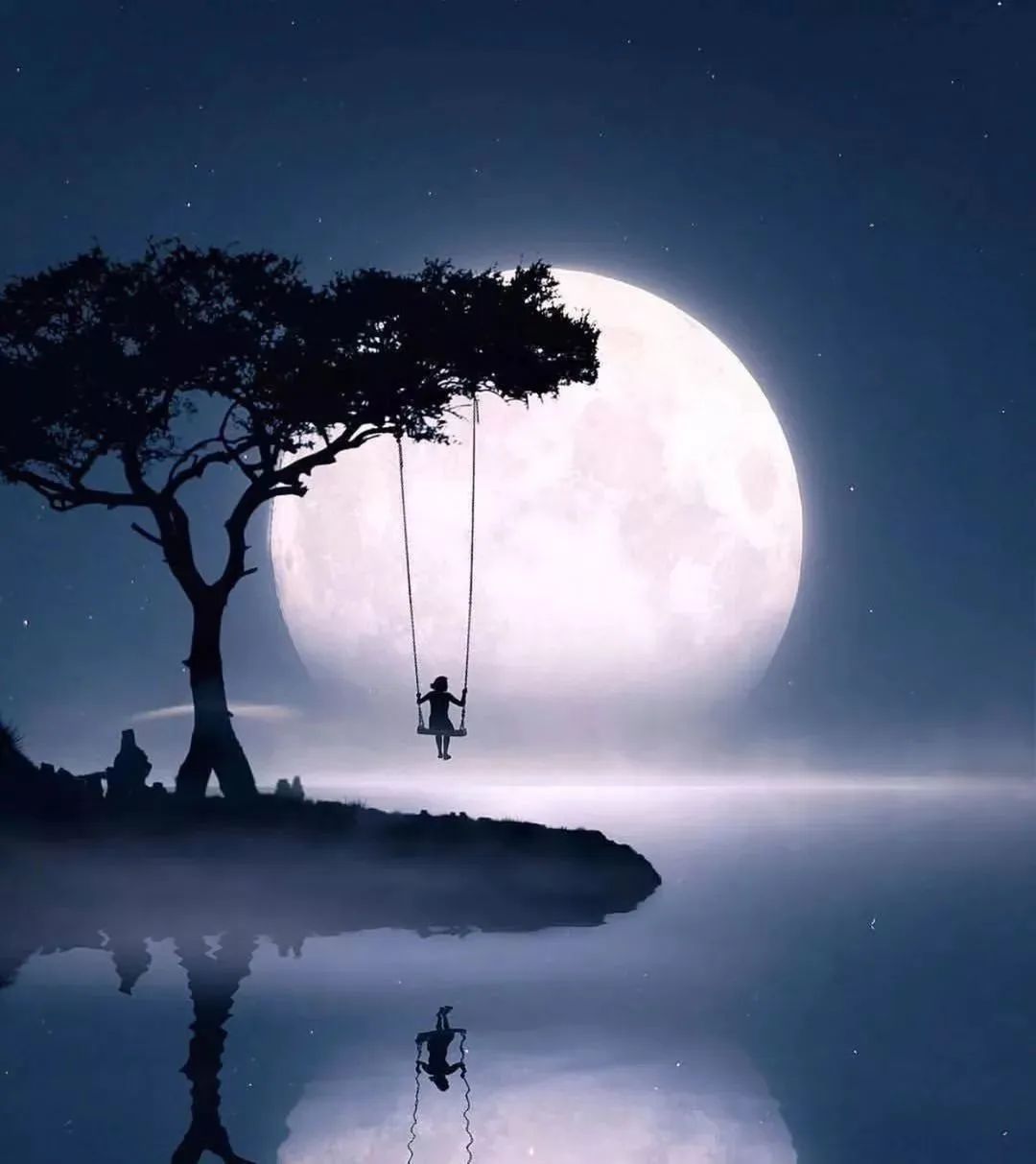 学习优秀摄影作品,摄影教学作品欣赏